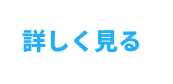 詳しく見る